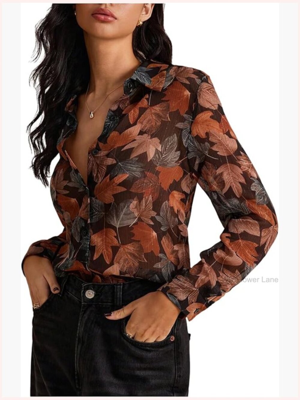 Sheer Floral Print Button Down Blouse Long Sleeve Dressy Casual Work Top